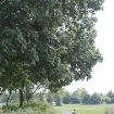2009-08-16 (097)